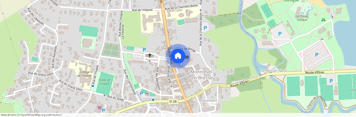 Ain, 01, 01340, Montrevel En Bresse