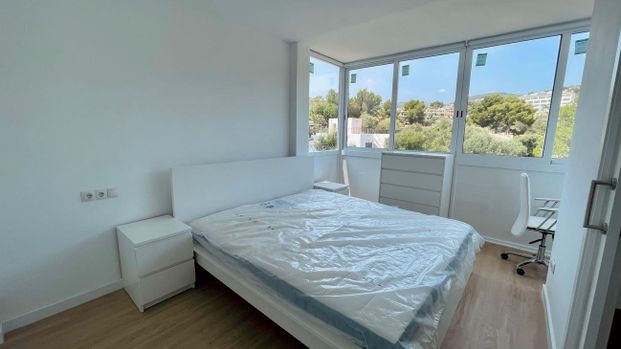 Avinguda Amèrica, 0, 07181 Portals Nous, Illes Balears, Spain, Portals Nous, Balearic Islands 07181 - Photo 1