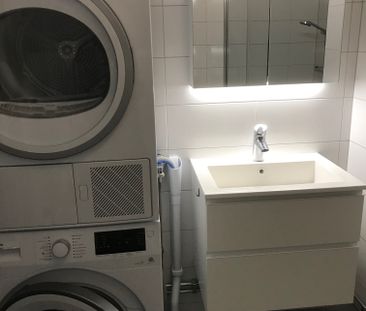 Polcirkelvägen, Vega - Photo 2