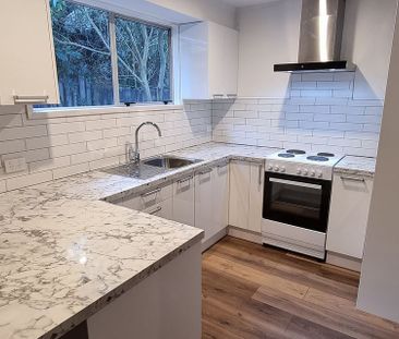 Charming pet friendly home in Browns Bay - Photo 5