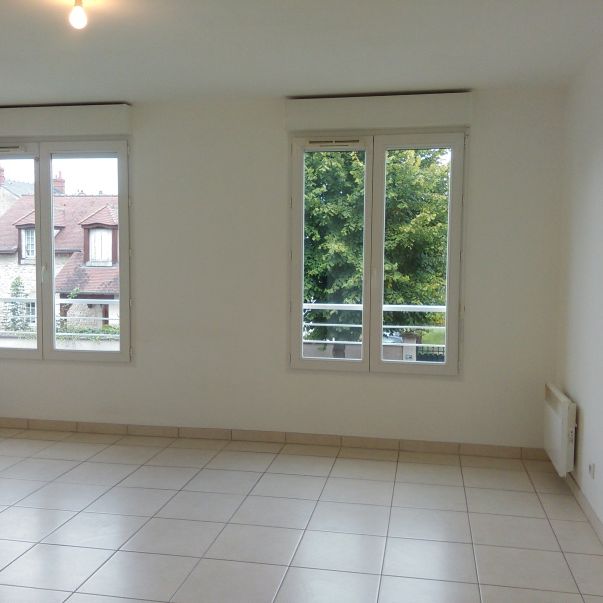 Location Appartement 1 pièce 28m² ST JEAN DE BRAYE 45800 - Photo 1