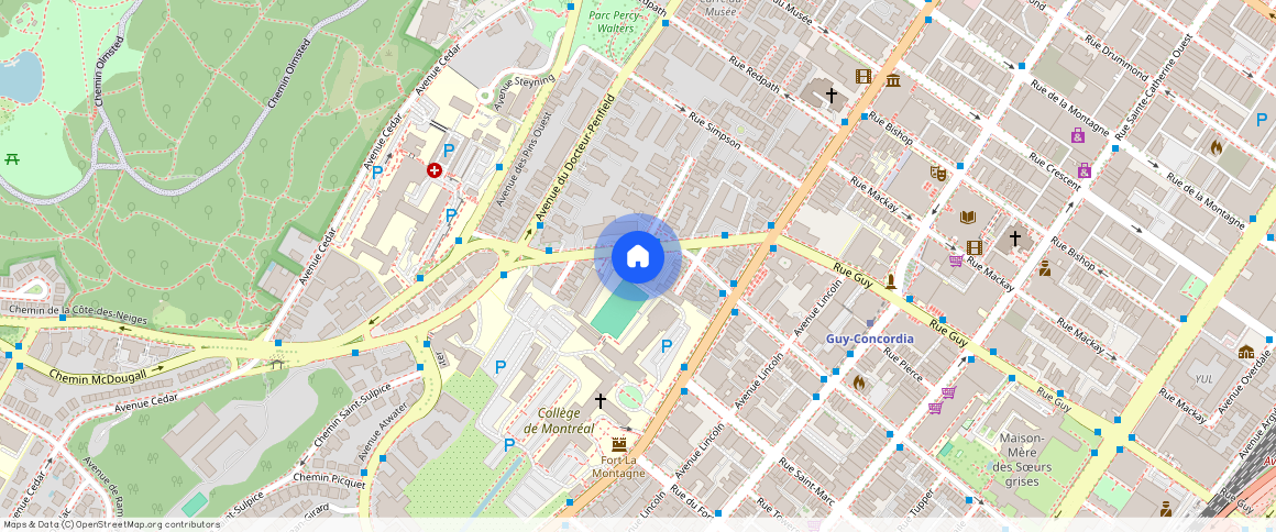 3488 Chemin de la Côte-des-Neiges, Ville-Marie, Ville-Marie, Ile de Montréal, H3H 1T4