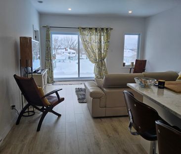 110 place Edmond Aucoin St-Boniface - Photo 3