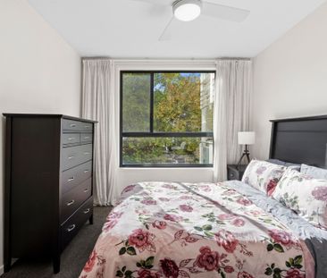 Superbly located Light Filled Apartment! - Photo 3