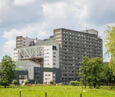 Chambre avec 6 colocataires sur Cambridgelaan, Utrecht Science Park... - Photo 3