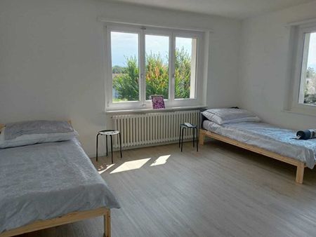 APPARTEMENT DE 5 PIÈCES À EGG B. ZURICH (ZH), MEUBLÉ - Photo 4