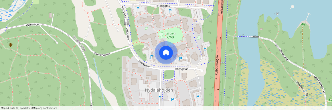 Istidsgatan 41