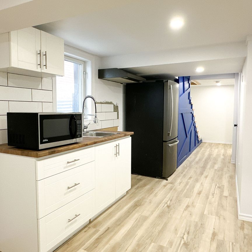 For Lease - 233 Pelham Road Unit# BASEMENT, St. Catharines, Ontario - Photo 1