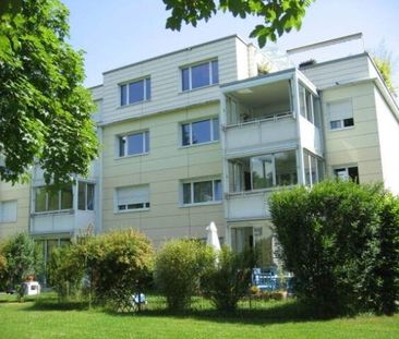 Lake Greifensee within reach - Foto 6