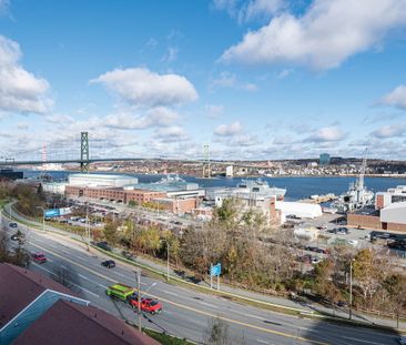 Harbour View Apartments — apartment/condo - Photo 4