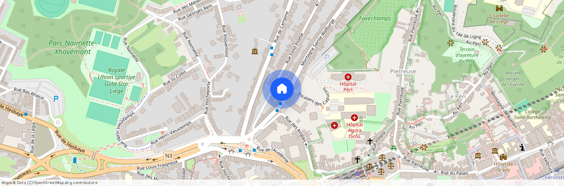 Montagne Sainte-Walburge, 41, 4000, Liège