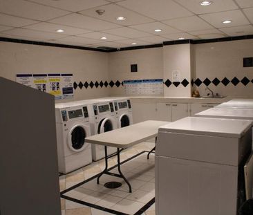 Studio - Westmount - $1,300 /mo - Photo 3