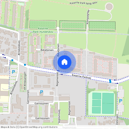 Bataljonen 8, 1. 9, 4100, Ringsted