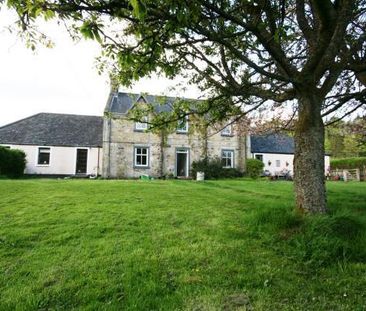 4 bedroom link detached house to rent - Photo 6