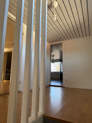 Baggehög, Kode - Photo 3