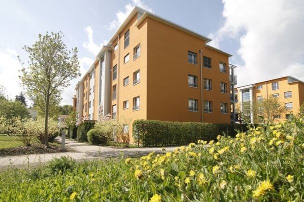 Des perspectives ensoleillées pour toi - Photo 1