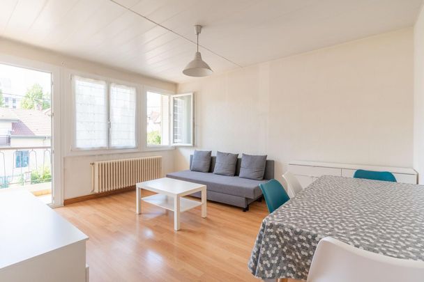 Location Appartement 3 pièces Meublé 63m² ANNECY 74000 - Photo 1