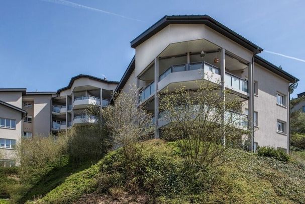 Dream home on the Reuss River - Photo 1