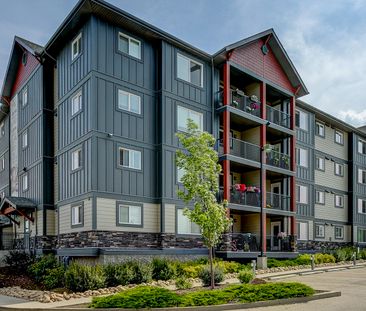 Emerald Hills - Photo 5