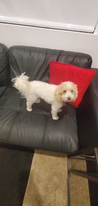 Aubin Grove - Photo 1