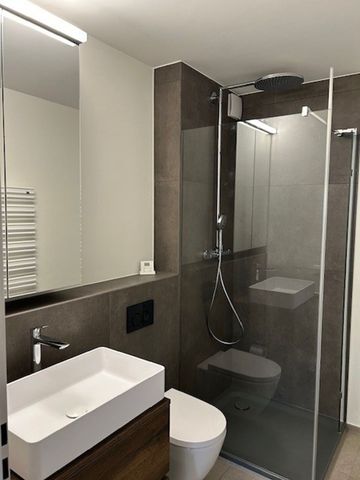 Renovierte 2.5 Zimmerwohnung mit tollem Terrassenbereich & Seeblick - Photo 5