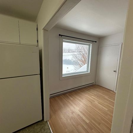 4 1/2 Rivière-Rouge, frigidaire et cuisinière inclus - Photo 3