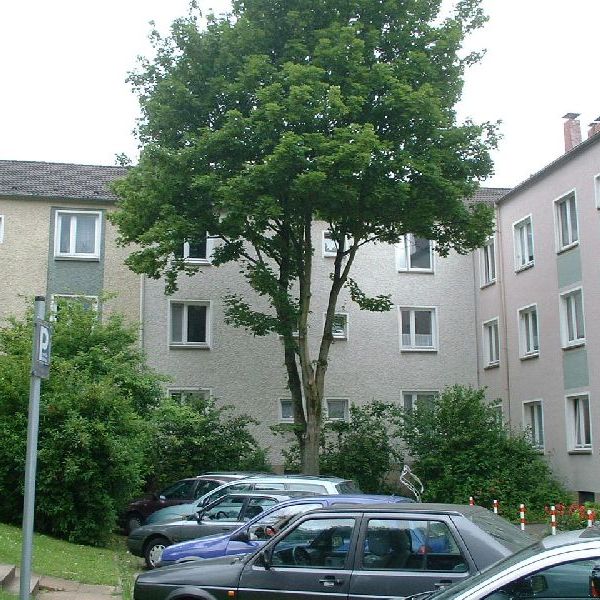 *** Wir modernisieren eine tolle Single-Wohnung mit geräumiger Wohnküche in Holsterhausen für Sie *** - Photo 1