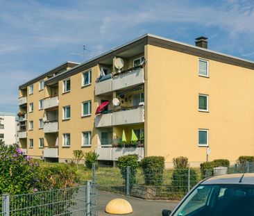 Demnächst frei! 2-Zimmer-Wohnung in Haßloch - Photo 1