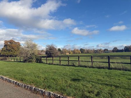 4 bedroom semi-detached bungalow to rent - Photo 3