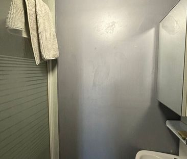 Appartement à louer 2 pièces • 41,62 m 2 Villeurbanne - Photo 5
