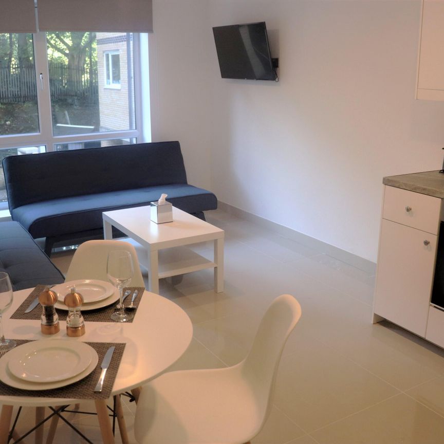 Flat 17, Samara Plaza, LS2 9DU, Leeds - Photo 1