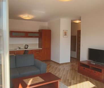 mieszkanie na wynajem - Szczecin, Centrum - Zdjęcie 2