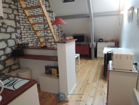 Location Appartement 1 pièce 17m² ORLEANS 45000 - Photo 4