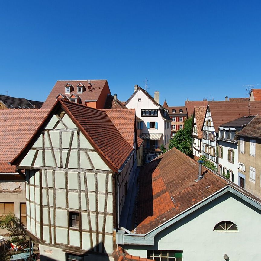 F1 26 m2 meublé centre Colmar - Photo 1