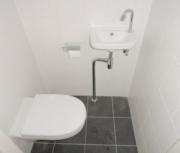 Safarigeel 116 - Foto 4