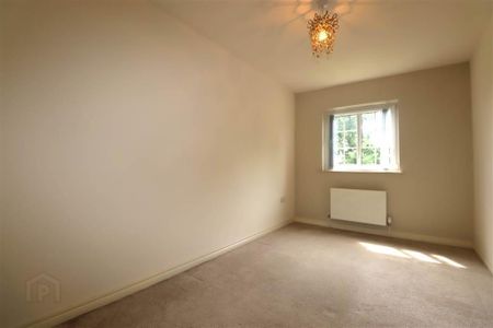 1 Sir Richard Wallace View, Lisburn, BT28 3NY - Photo 4