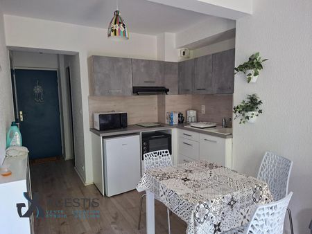 Location Appartement 1 pièce 29m² CASTRES 81100 - Photo 5