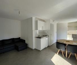 Location Appartement 1 pièce 26m² BELFORT 90000 - Photo 2