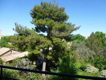 Location appartement 2 pièces 49.91 m² à Montpellier (34000) - Photo 5