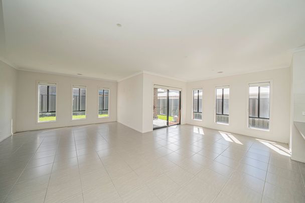 Spacious Family Home - walk to Hillcrest College - Photo 1