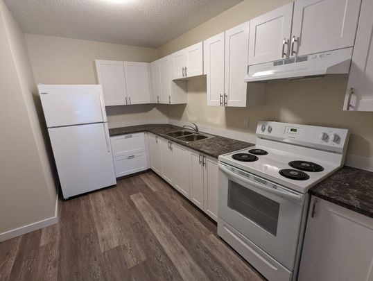 Charming 1 Bed 1 Bath Apartment in heart of DOWNTOWN Red Deer - Photo 1