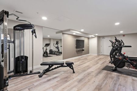 Edmonton Unfurnished apartment Rental in Queen Alexandra/Garneau - Modern Lower Level Suite Walking Distance to Whyte Ave! - Photo 4