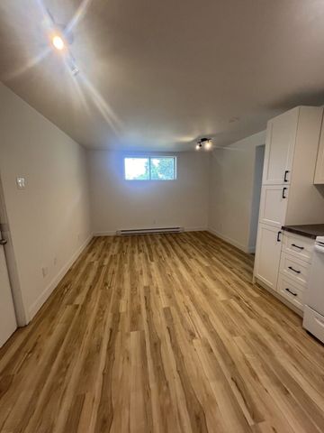 1035#7 rue Dubé Trois-Rivières - Photo 4