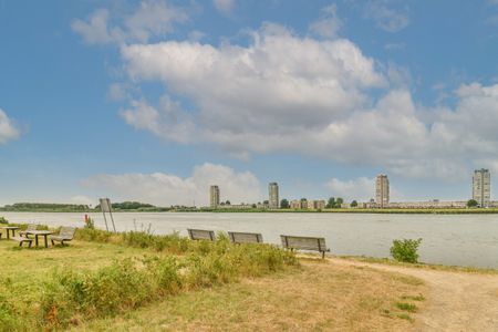 Te huur: Appartement Zonnebaarsstraat 49 in Hoogvliet Rotterdam - Foto 2