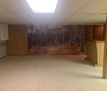 4295 46A Avenue - Photo 3