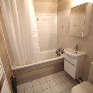 Location Appartement 1 pièce 21m² - Photo 3