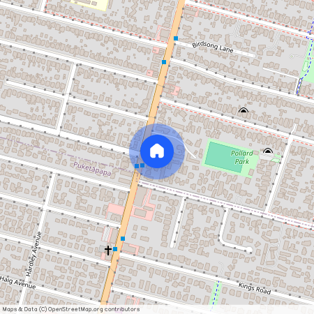 878A Dominion Road, Mount Eden, Auckland City