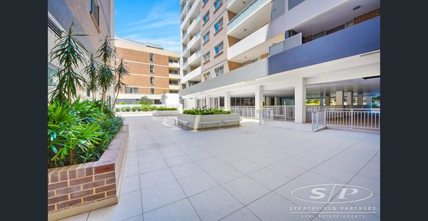 Luxury 1 Bedroom Apartment, Level 10 - Photo 1