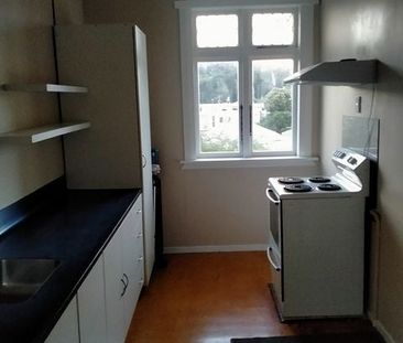4BR Home in Mt. Cook -Close to Massey - Photo 3