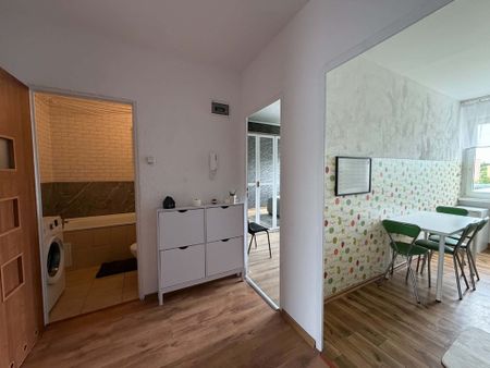 2 pokoje centrum Polic - Photo 5